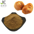 factory supply hericium erinaceus mushroom extract powder 10:1 Lion's mane mushroom powder